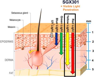 HyBryte™ use in early-stage cutaneous T-cell lymphoma